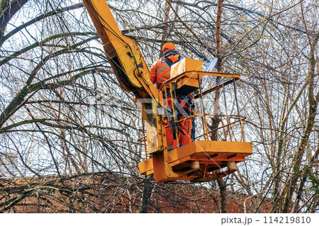 Municipal workers stand with a chainsaw in a crane basket and trim dangerous trees Municipal workers stand with a chainsaw in a crane basket and trim dangerous trees 114219810