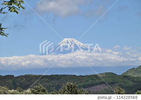 虹の郷からの富士山 虹の郷からの富士山 114220568