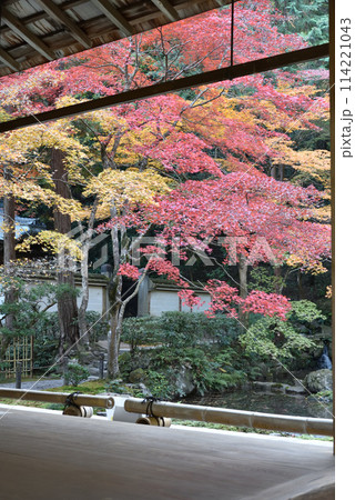 南禅院　方丈から見る秋の庭園 114221043