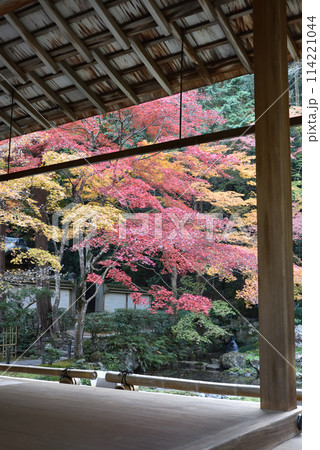 南禅院 方丈から見る秋の庭園 南禅院 方丈から見る秋の庭園 114221044