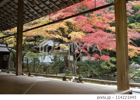 南禅院 方丈から見る秋の庭園 南禅院 方丈から見る秋の庭園 114221045
