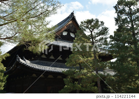 大徳寺　法堂【重要文化財】 114221144