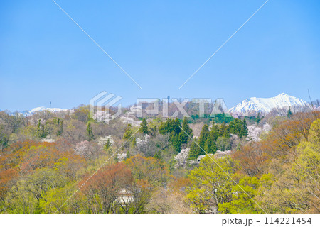 里山に咲く山桜と常念岳【安曇野市】 114221454