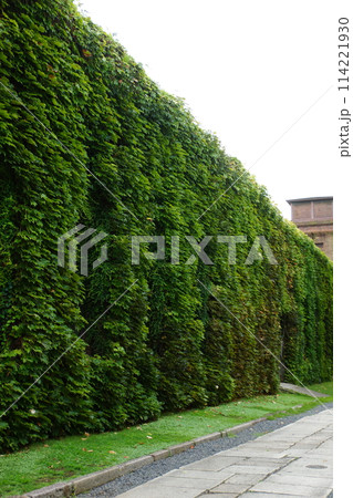 倉敷の町並み　倉敷美観地区（倉敷スクエア　旧クラボウ工場跡） 114221930