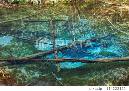 北海道/ 奇跡の泉 神秘のブルーと透明度を持つ夏の「神の子池」 北海道/ 奇跡の泉 神秘のブルーと透明度を持つ夏の「神の子池」 114222122