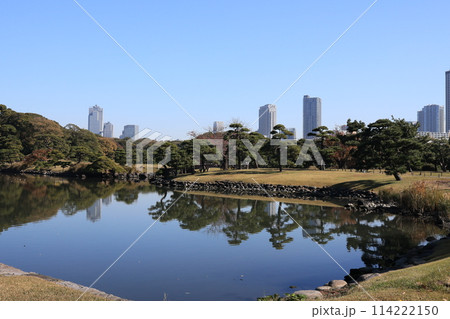 浜離宮恩賜庭園の風景 浜離宮恩賜庭園の風景 114222150