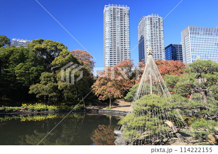 浜離宮恩賜庭園の秋の風景 114222155