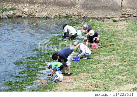潮干狩りにサーフィン 潮干狩りにサーフィン 114222511