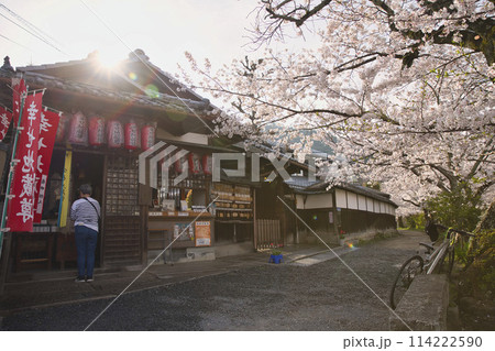 満開の桜に彩られた幸せ地蔵尊　横構図3 114222590