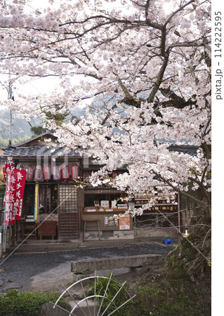 満開の桜に彩られた幸せ地蔵尊　縦構図2 114222595