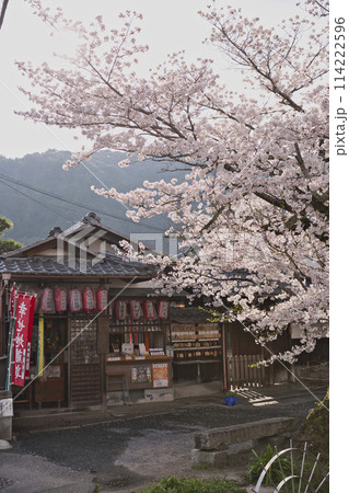 満開の桜に彩られた幸せ地蔵尊　縦構図3 114222596
