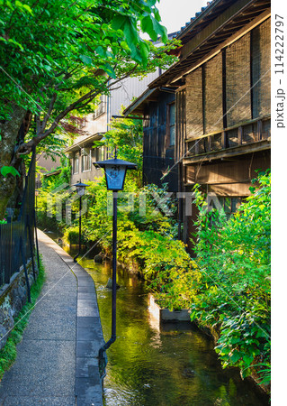郡上八幡　いがわ小径　朝景 114222797