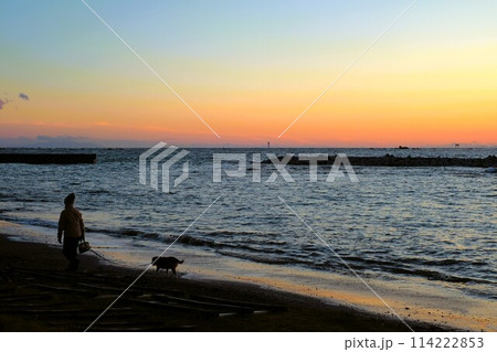 夕暮れの浜辺で犬と散歩をする人 逗子・葉山 森戸海岸 夕暮れの浜辺で犬と散歩をする人 逗子・葉山 森戸海岸 114222853
