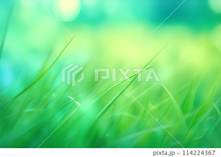 Green grass,sky blurred bokeh background, Natural outdoors background. 114224367