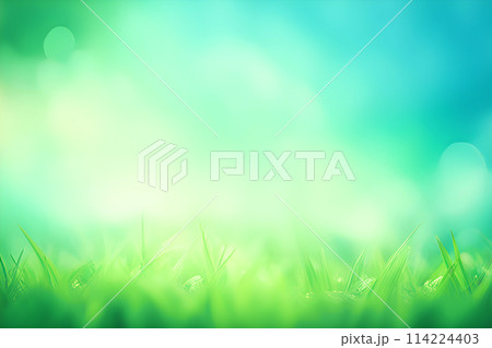 Green grass,sky blurred bokeh background, Natural outdoors background. 114224403