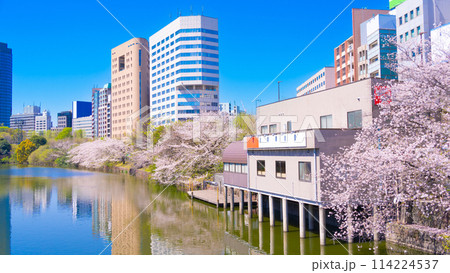 外濠公園の桜並木 東京・市ヶ谷-飯田橋 外濠公園の桜並木 東京・市ヶ谷-飯田橋 114224537