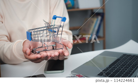 Business woman holding shopping cart represent to on line store or e commerce marketing connection, Online shopping concepts with payment his order on a lot of product package box. 114224661