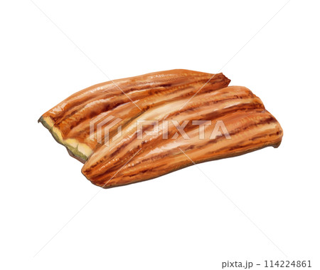 鰻の蒲焼のリアルな水彩イラスト（焦げ目あり） 114224861