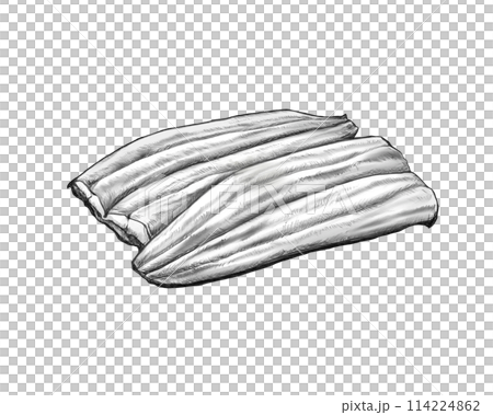 烤鰻魚的逼真黑白插圖 烤鰻魚的逼真黑白插圖 114224862