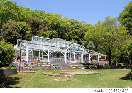 大阪池田市の五月山緑地都市緑化植物園 114224895