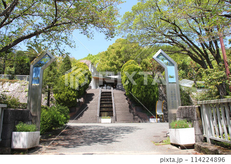 大阪池田市の五月山緑地都市緑化植物園 114224896