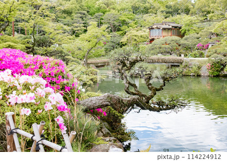 春の神戸市・相楽園の日本庭園の船屋型とツツジ 114224912
