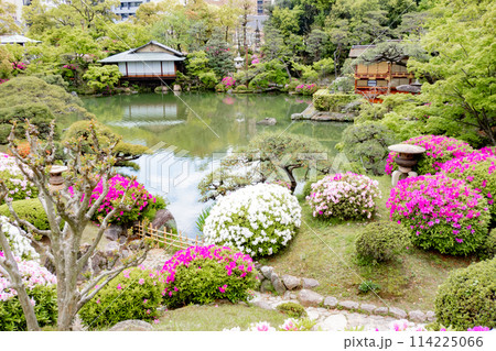 春の神戸市・相楽園の日本庭園の船屋型と茶室浣心亭とツツジ 114225066