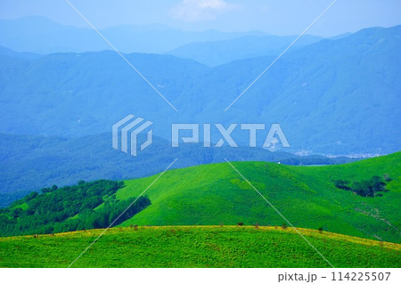 夏の霧ケ峰高原の風景 夏の霧ケ峰高原の風景 114225507