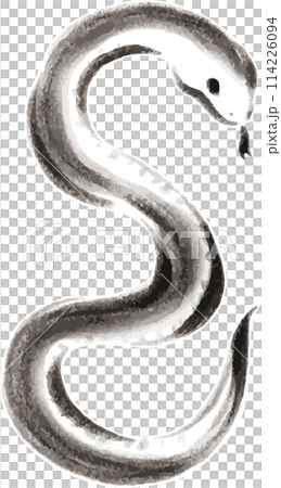 New Year's card New Year's card 2025 Year of the Snake Snake Year of the Snake Sumi-e Ink painting Brush Hand-drawn Illustration material New Year's card New Year's card 2025 Year of the Snake Snake Year of the Snake Sumi-e Ink painting Brush Hand-drawn Illustration material 114226094
