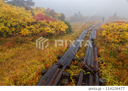 霧の栗駒山・名残ヶ原の草紅葉 114226477