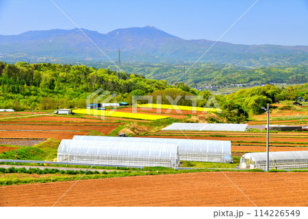 千曲ビューラインより蓼科山方面を望む(長野県佐久市、小諸市)【2024.5】 千曲ビューラインより蓼科山方面を望む(長野県佐久市、小諸市)【2024.5】 114226549