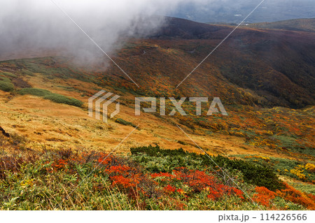 秋の栗駒山から見る紅葉の山肌 114226566