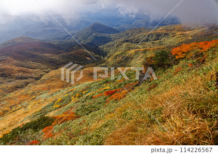 秋の栗駒山から見る紅葉の山肌 秋の栗駒山から見る紅葉の山肌 114226567