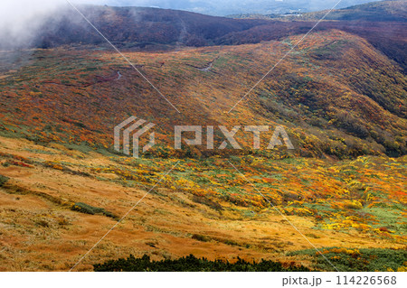 秋の栗駒山から見る紅葉の山肌 秋の栗駒山から見る紅葉の山肌 114226568
