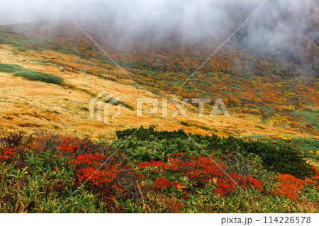 秋の栗駒山から見る紅葉の山肌 秋の栗駒山から見る紅葉の山肌 114226578