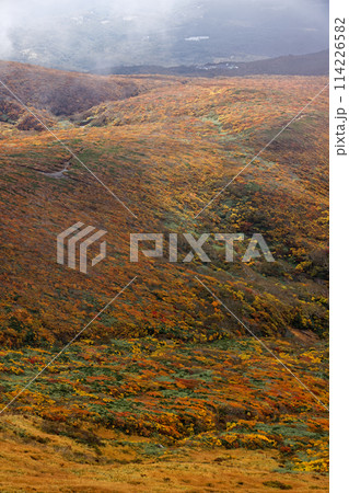 秋の栗駒山から見る紅葉の山肌 114226582
