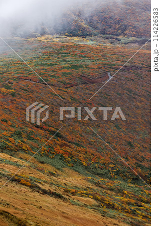 秋の栗駒山から見る紅葉の山肌 秋の栗駒山から見る紅葉の山肌 114226583