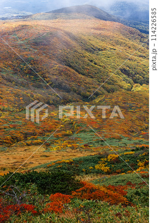 秋の栗駒山から見る紅葉の山肌 秋の栗駒山から見る紅葉の山肌 114226585