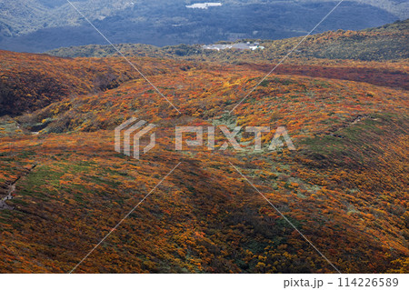秋の栗駒山から見る紅葉の山肌 114226589