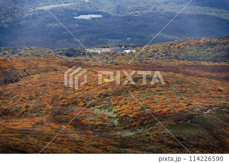 秋の栗駒山から見る紅葉の山肌 秋の栗駒山から見る紅葉の山肌 114226590