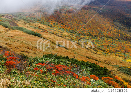 秋の栗駒山から見る紅葉の山肌 秋の栗駒山から見る紅葉の山肌 114226591