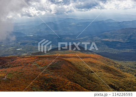 秋の栗駒山から見る紅葉の山肌 114226593