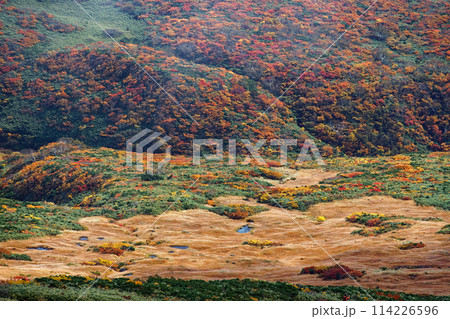 秋の栗駒山から見る紅葉の山肌 秋の栗駒山から見る紅葉の山肌 114226596