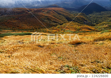 秋の栗駒山から見る紅葉の山肌 114226600