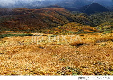 秋の栗駒山から見る紅葉の山肌 秋の栗駒山から見る紅葉の山肌 114226600