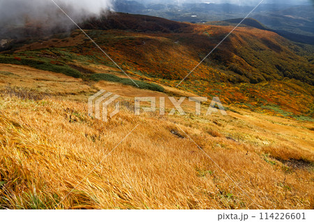 秋の栗駒山から見る紅葉の山肌 秋の栗駒山から見る紅葉の山肌 114226601