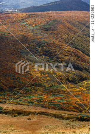 秋の栗駒山から見る紅葉の山肌 秋の栗駒山から見る紅葉の山肌 114226603