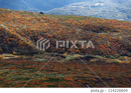 秋の栗駒山から見る紅葉の山肌 秋の栗駒山から見る紅葉の山肌 114226604