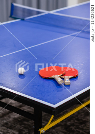 宿泊施設の卓球台 114226621