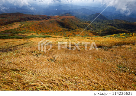 秋の栗駒山から見る紅葉の山肌 秋の栗駒山から見る紅葉の山肌 114226625